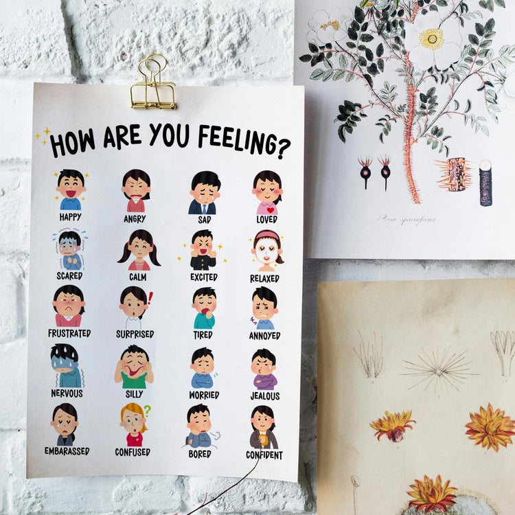 How Are You Feeling? Emotions Chart Poster