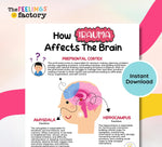 Trauma & PTSD Therapy Poster: Brain, Triggers, Responses (Instant Download)