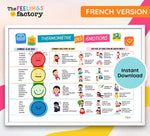 FRENCH Feelings Thermometer Chart & Coping Skills Poster: Mental Health Tools (PDF Download)